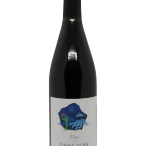 Vizi Károly, Pinot Noir, Budapest 2016