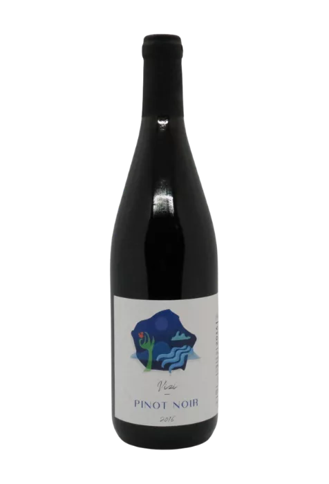 Vizi Károly, Pinot Noir, Budapest 2016