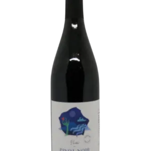 Vizi Károly, Pinot Noir, Budapest 2017