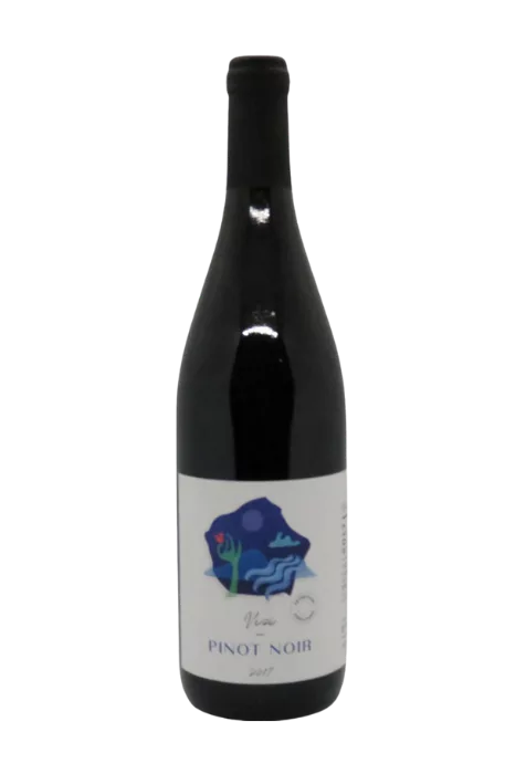 Vizi Károly, Pinot Noir, Budapest 2017